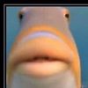 nate_timm0815